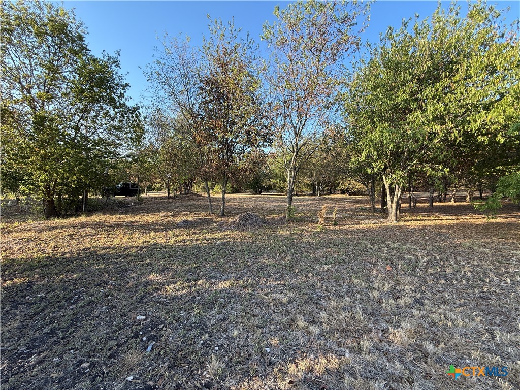 main property photo 10