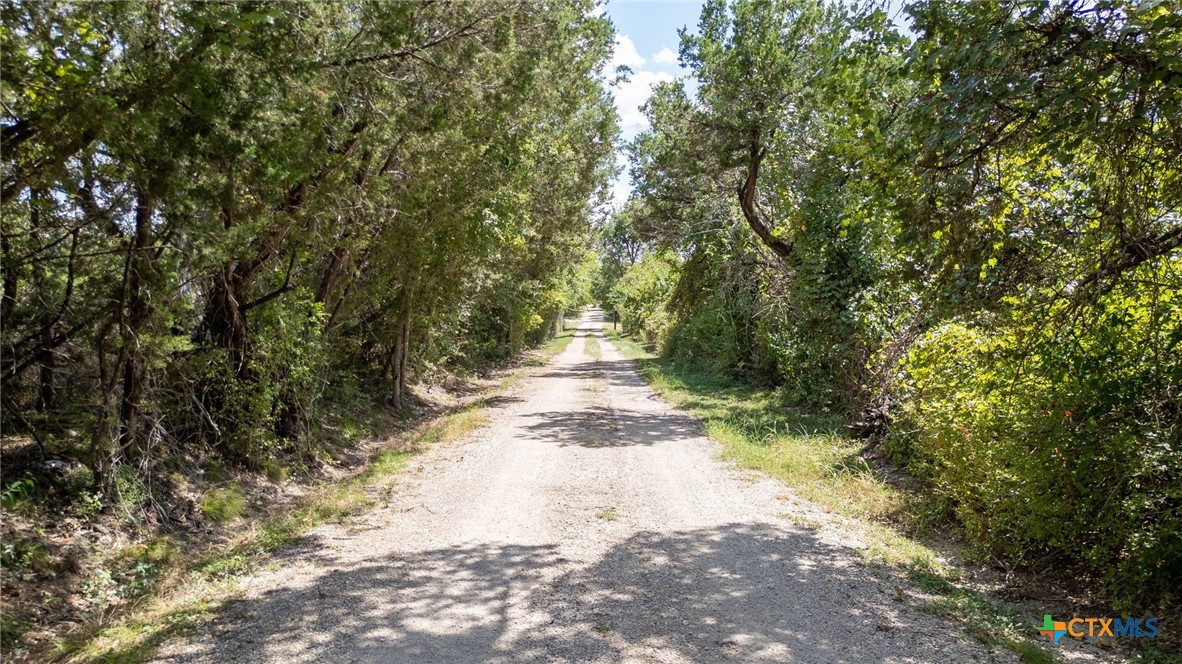 main property photo 41