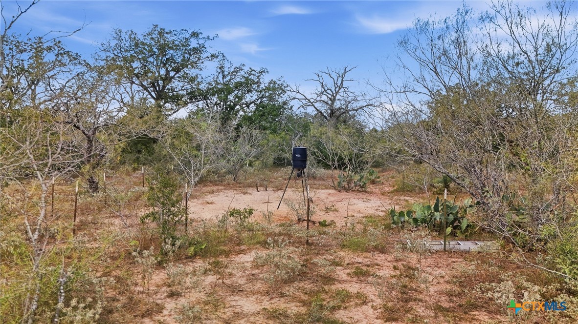main property photo 13