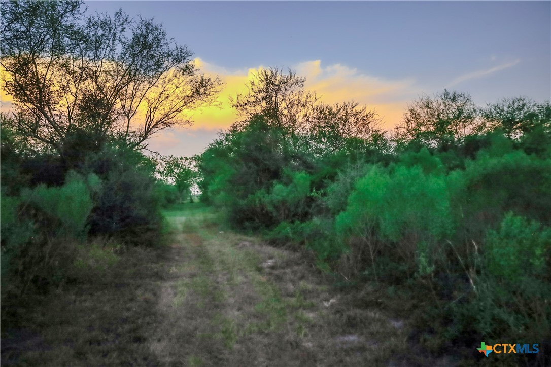 main property photo 32