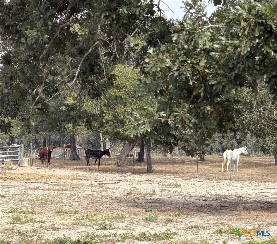 main property photo 16