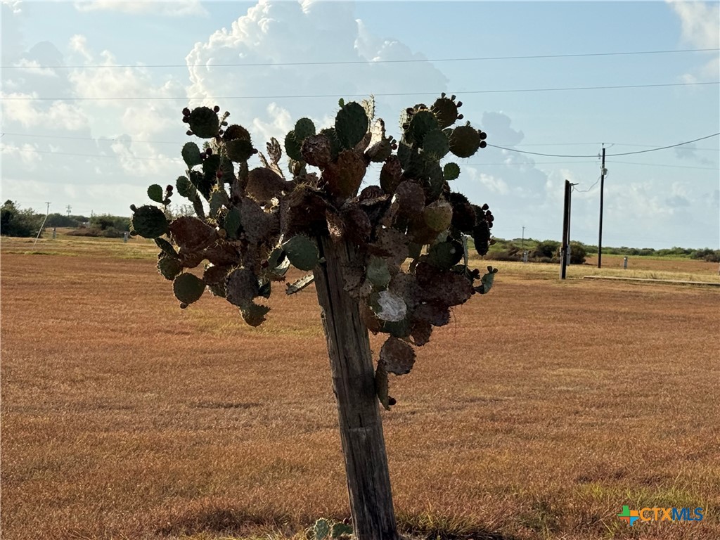 main property photo 37