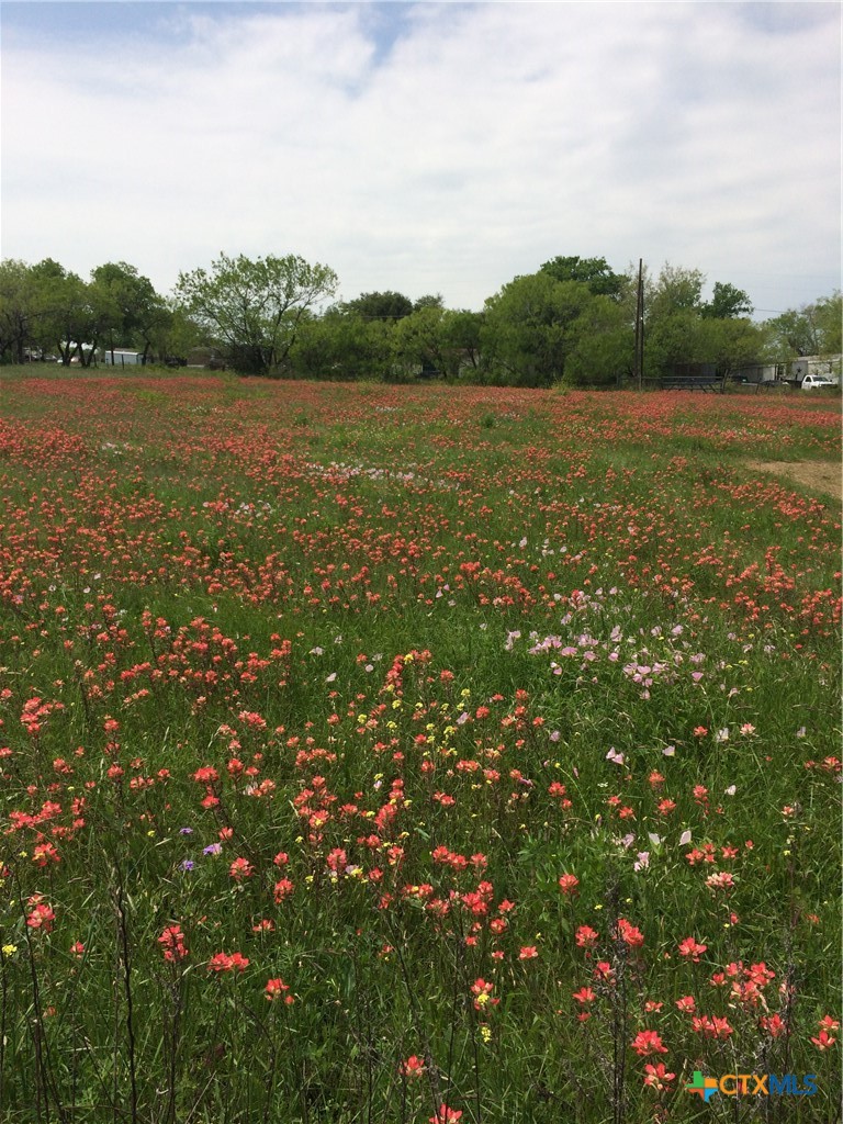 main property photo 10