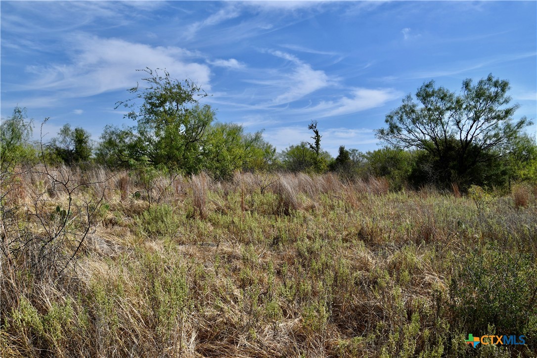main property photo 17