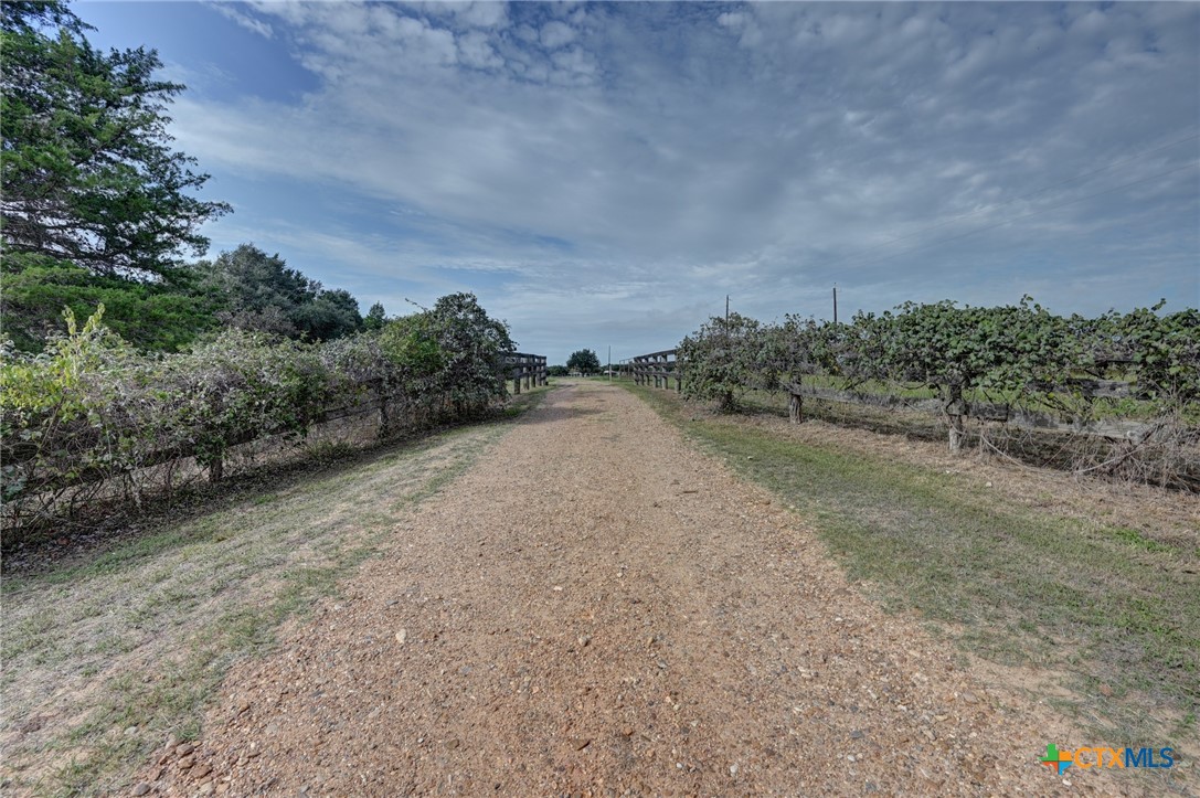 main property photo 42