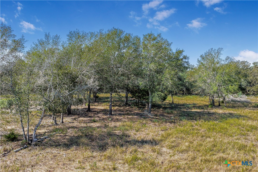 main property photo 37