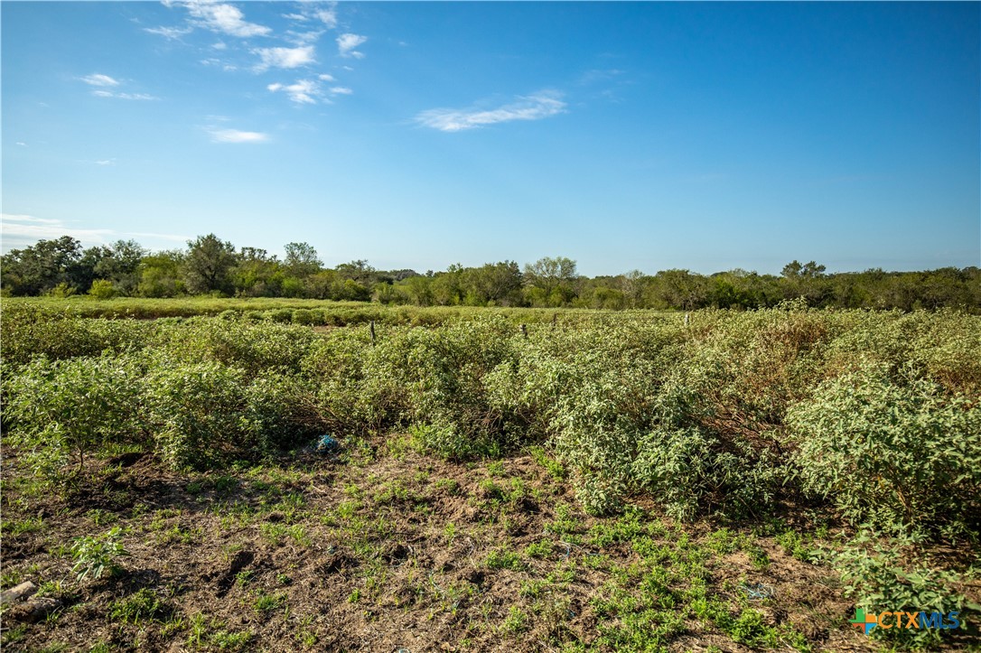 main property photo 16