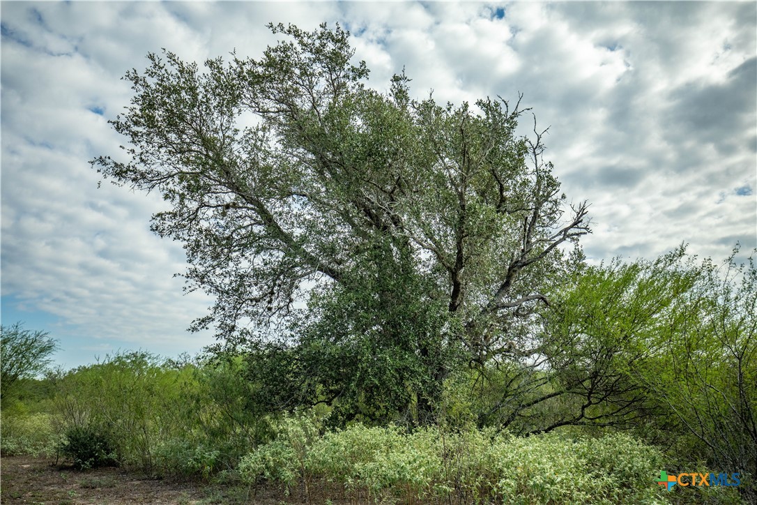 main property photo 37