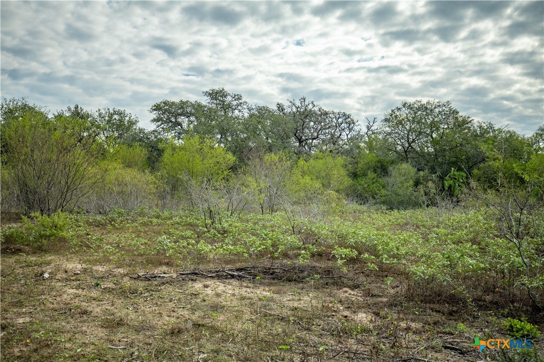 main property photo 38