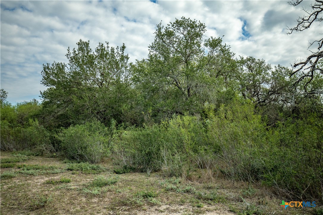 main property photo 39