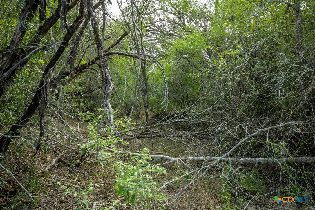 main property photo 40