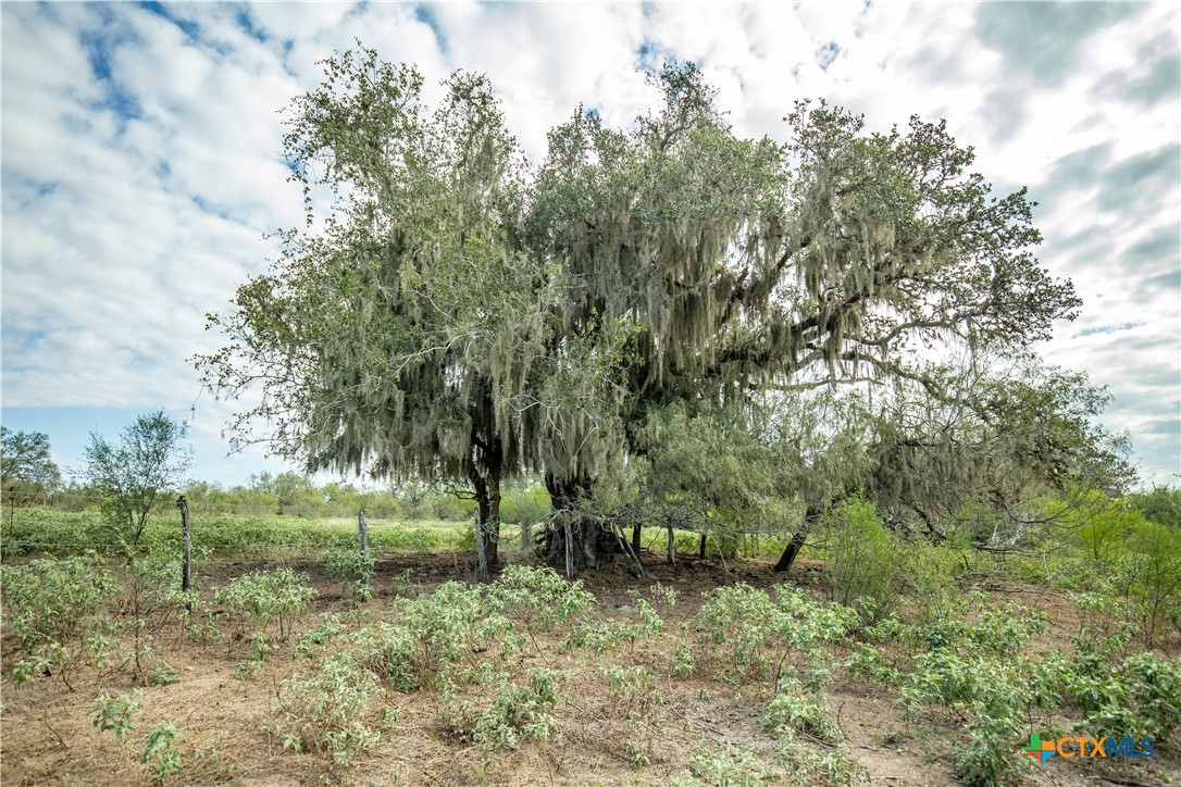 main property photo 41