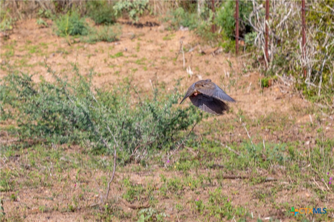 main property photo 46