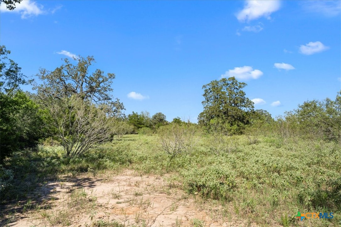 main property photo 11