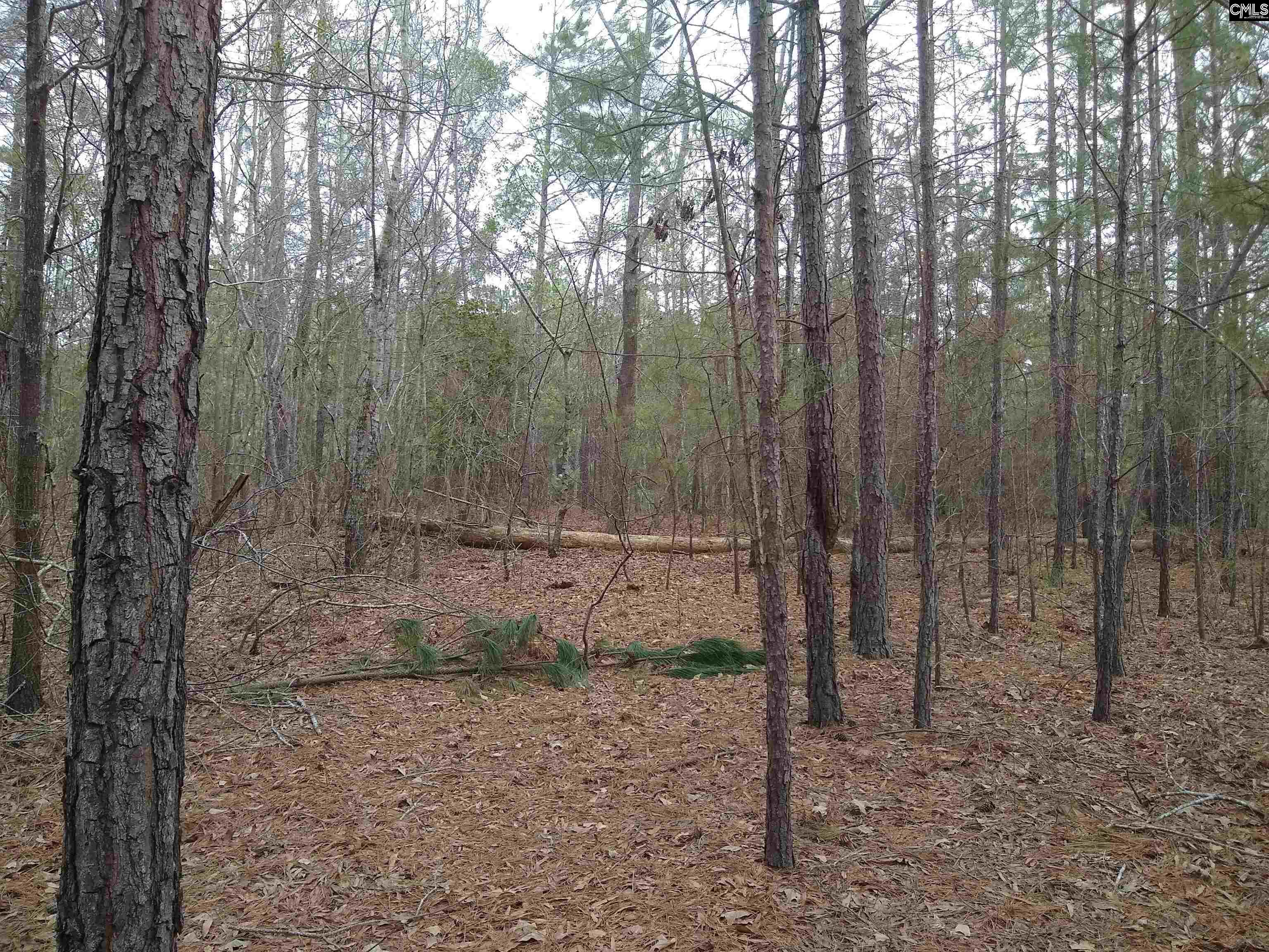 main property photo 27