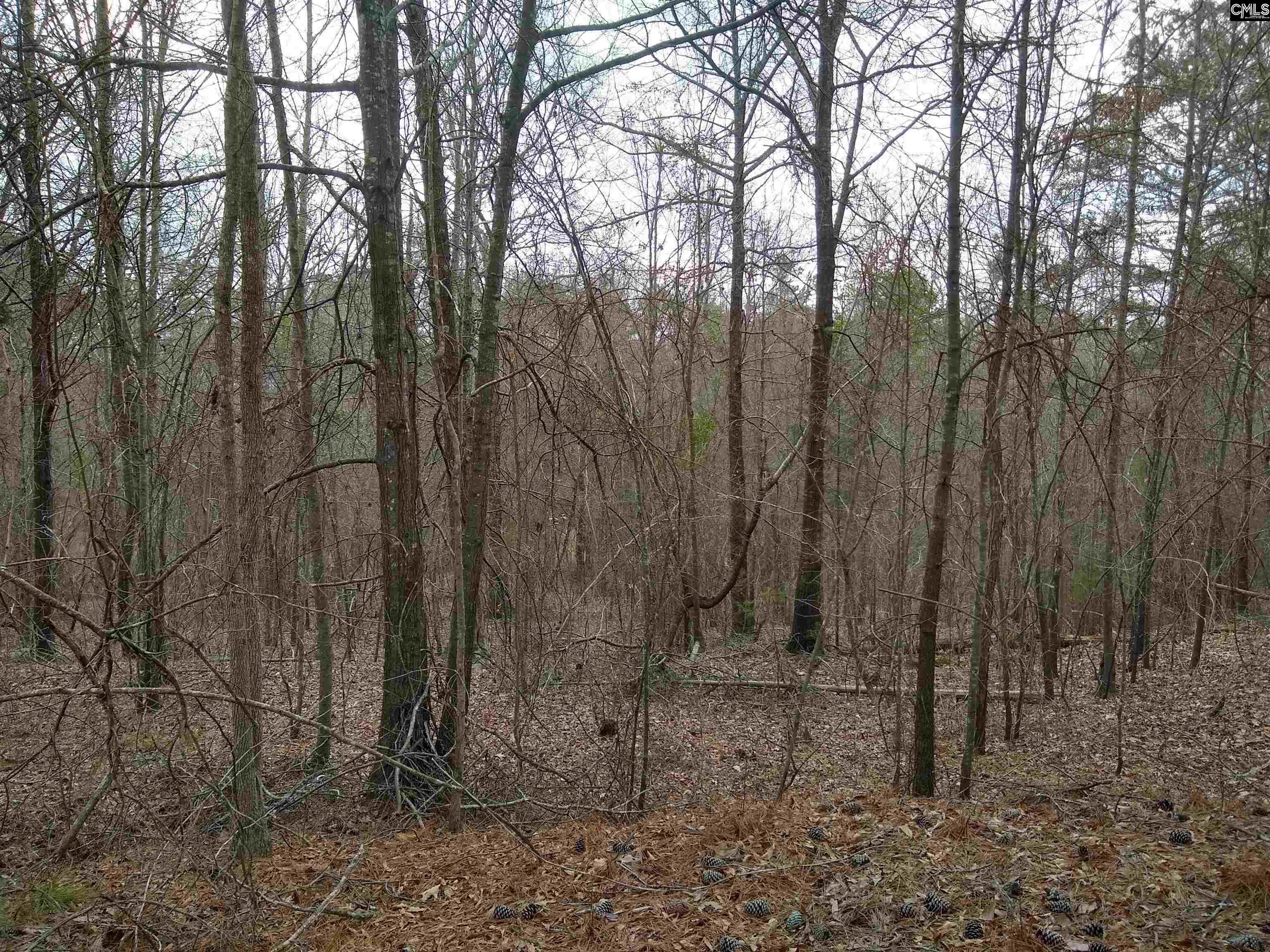 main property photo 38