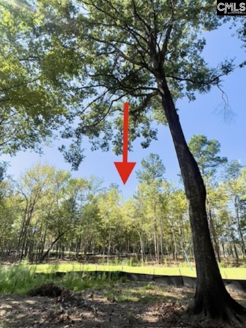 main property photo 11