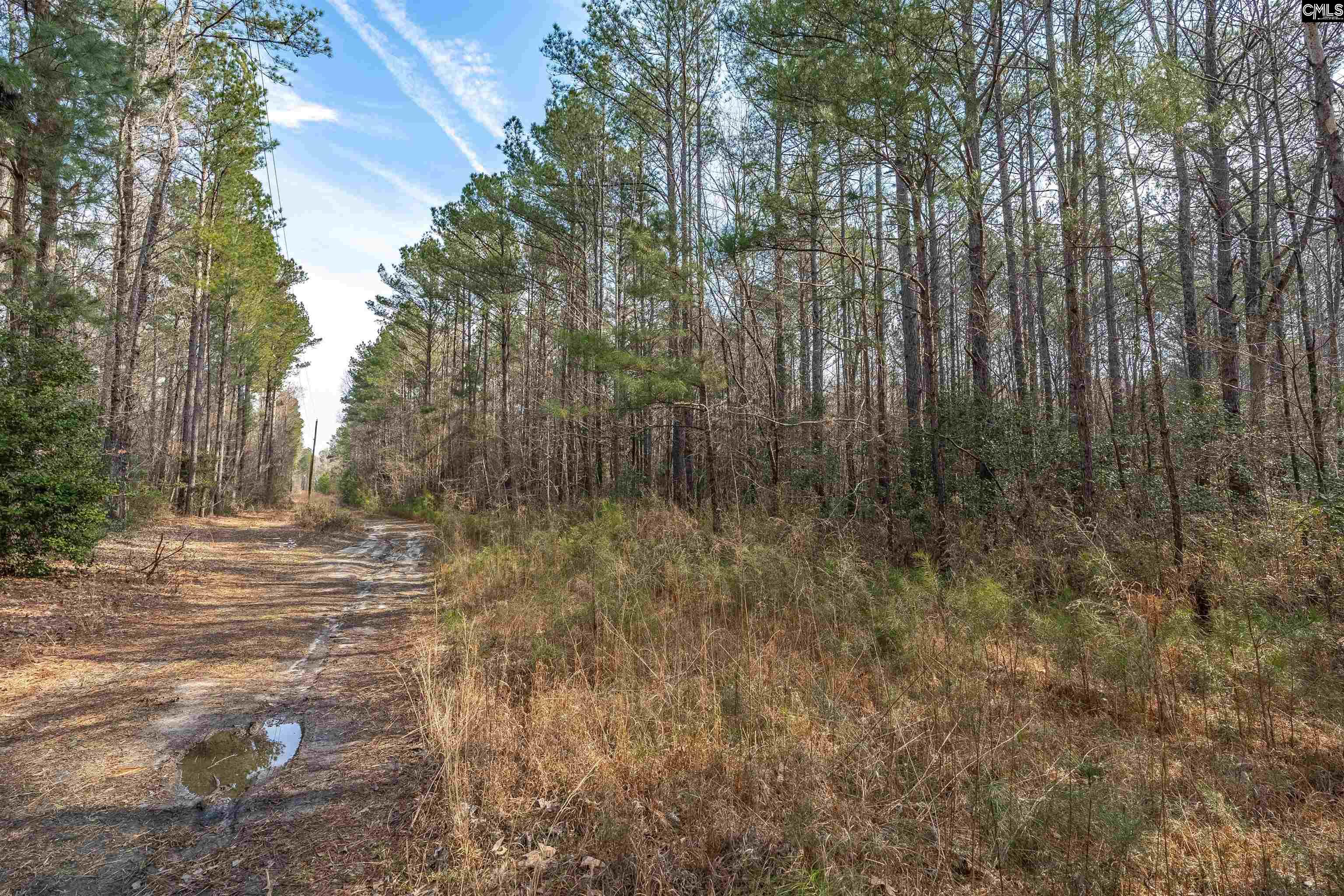 main property photo 11