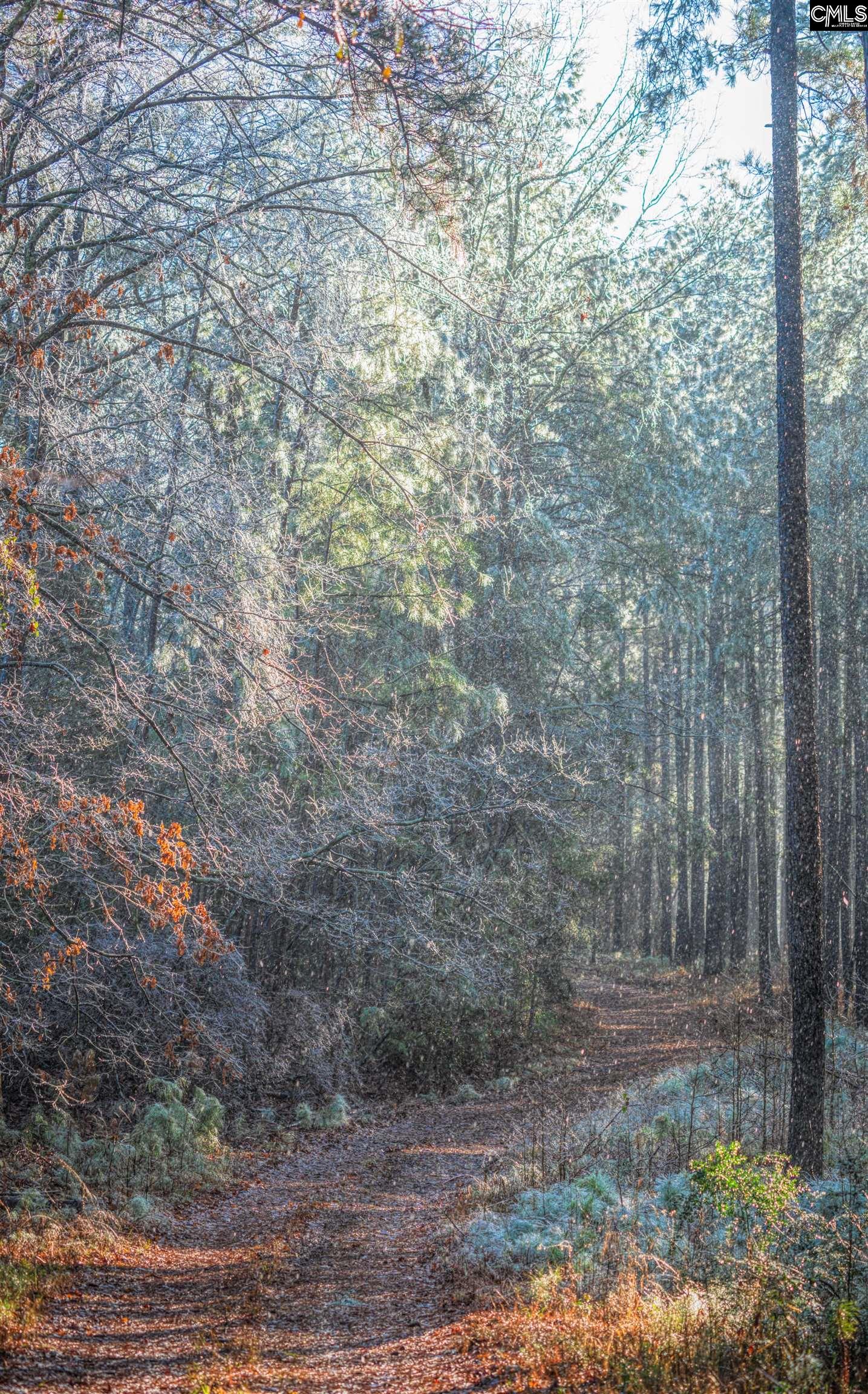 main property photo 85