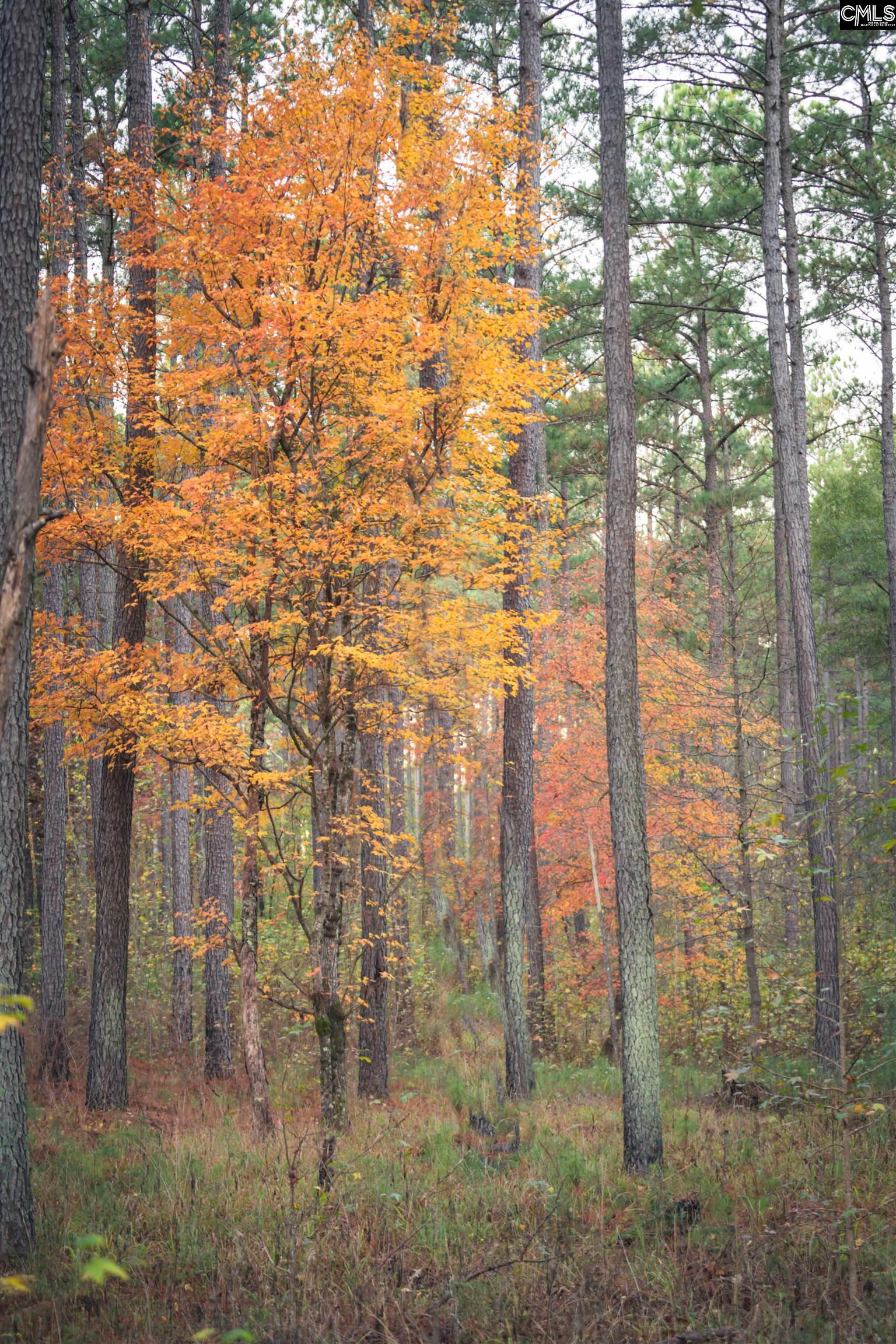 main property photo 88