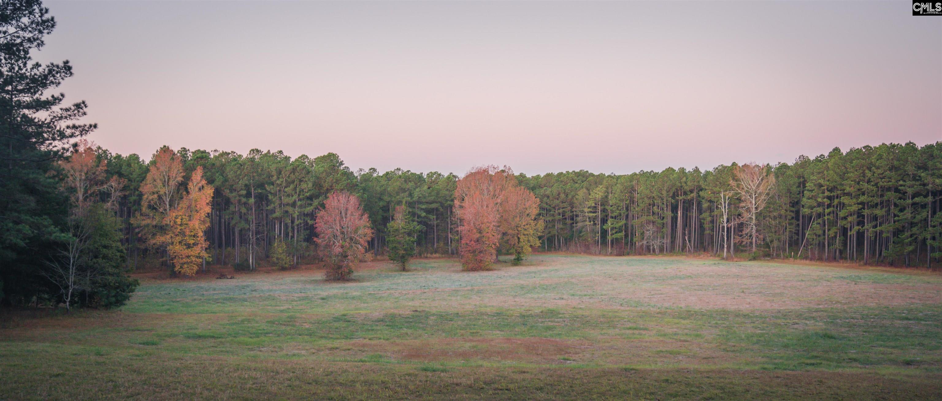 main property photo 95