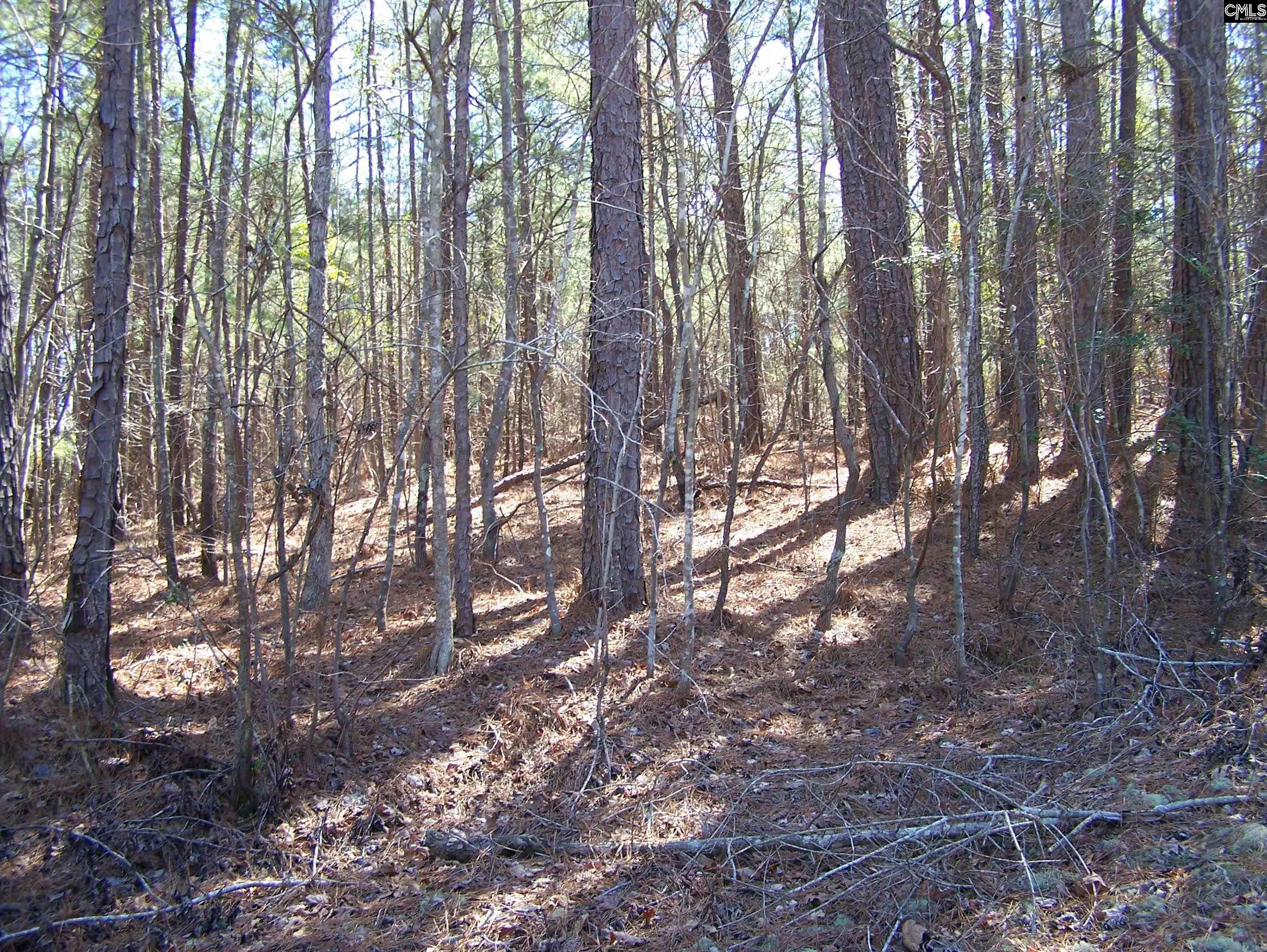 main property photo 11