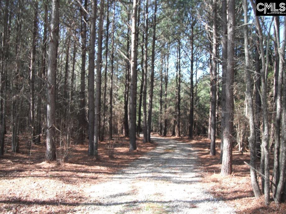 main property photo 40