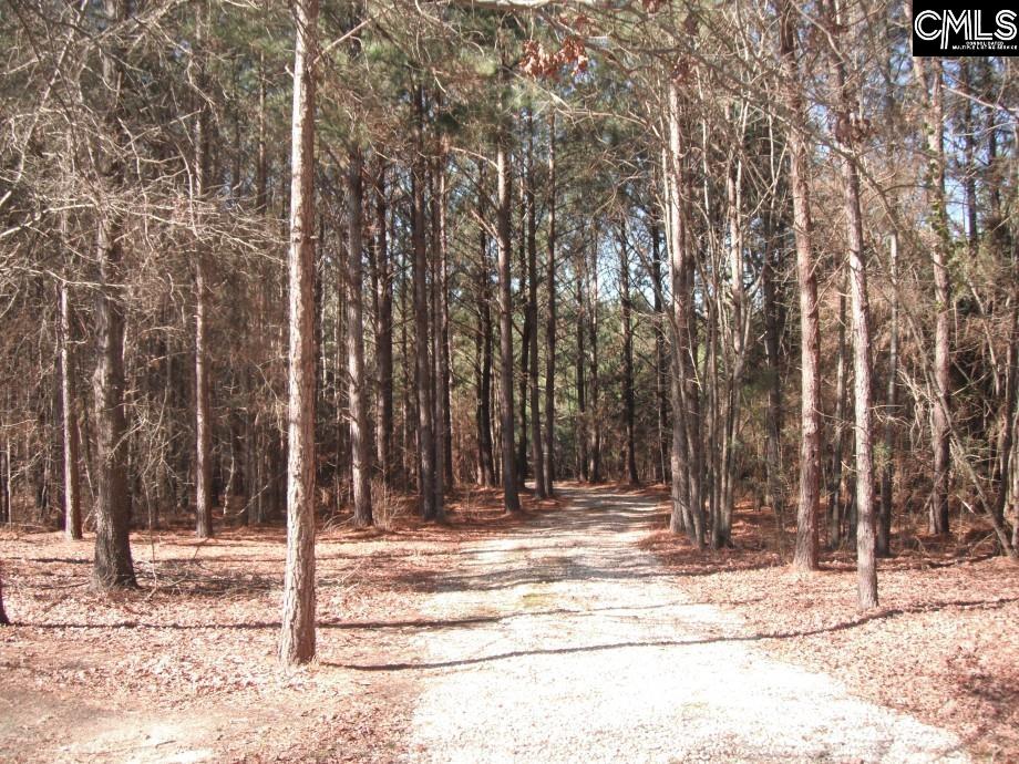 main property photo 43