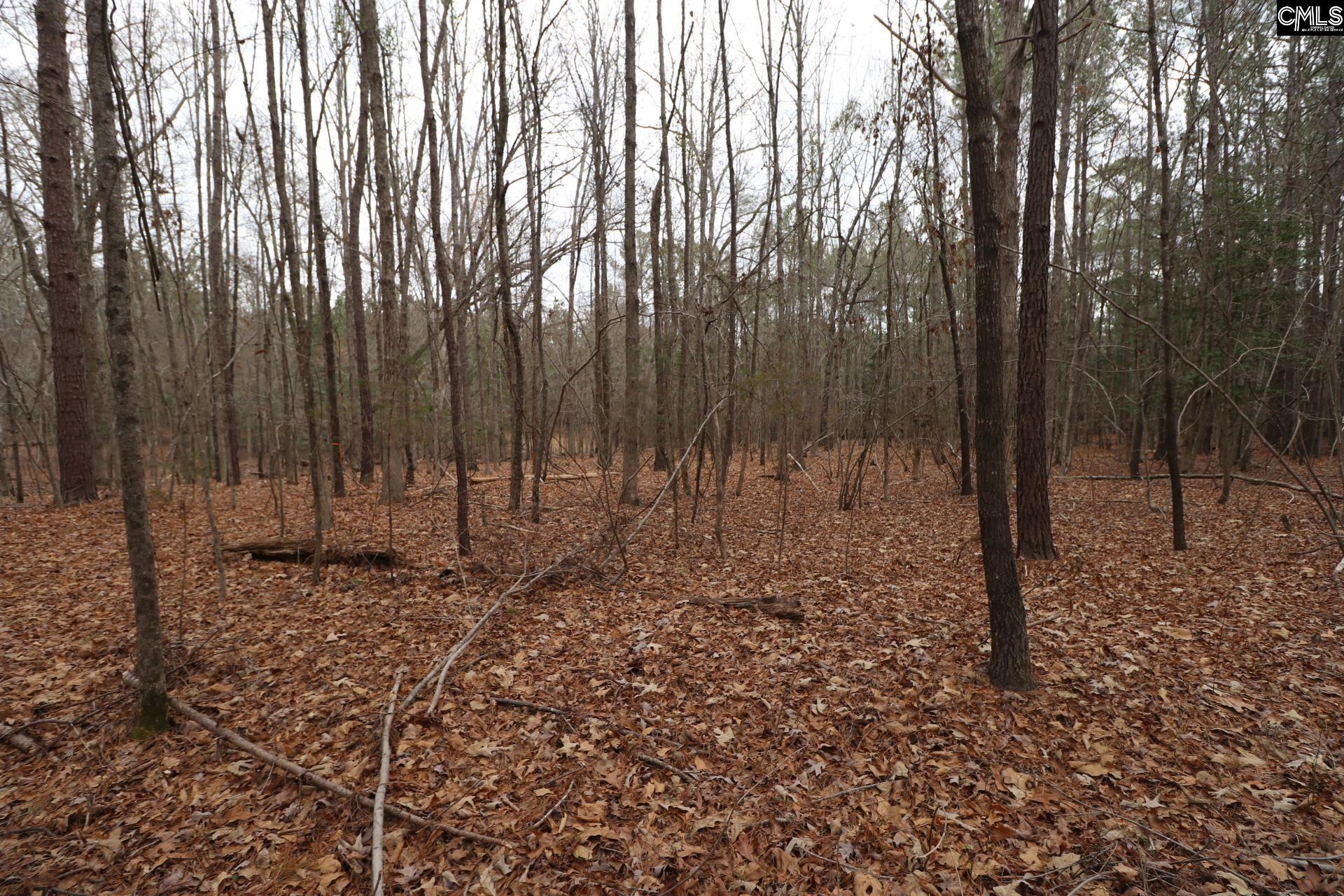 main property photo 50