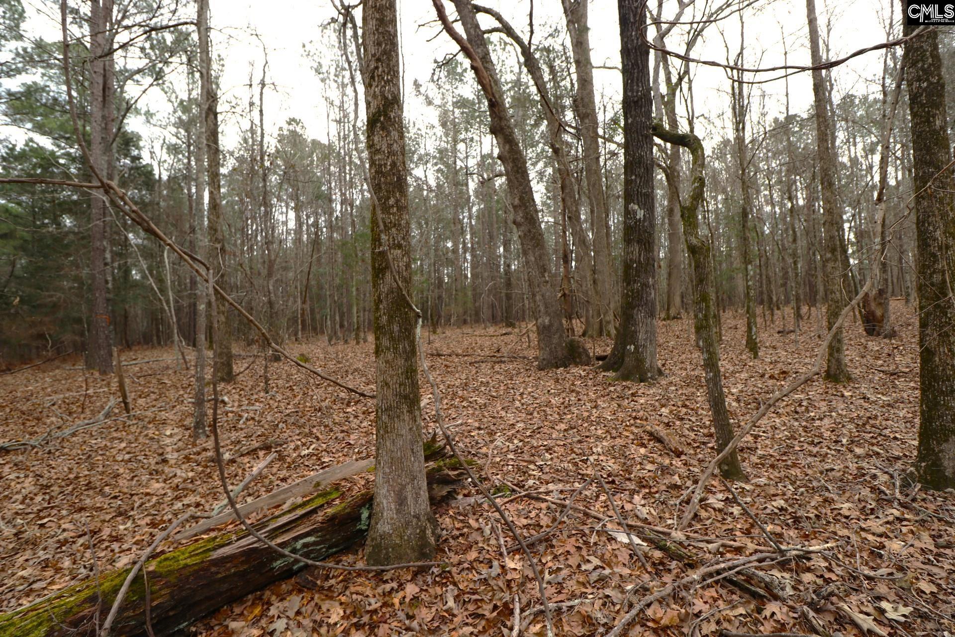 main property photo 60