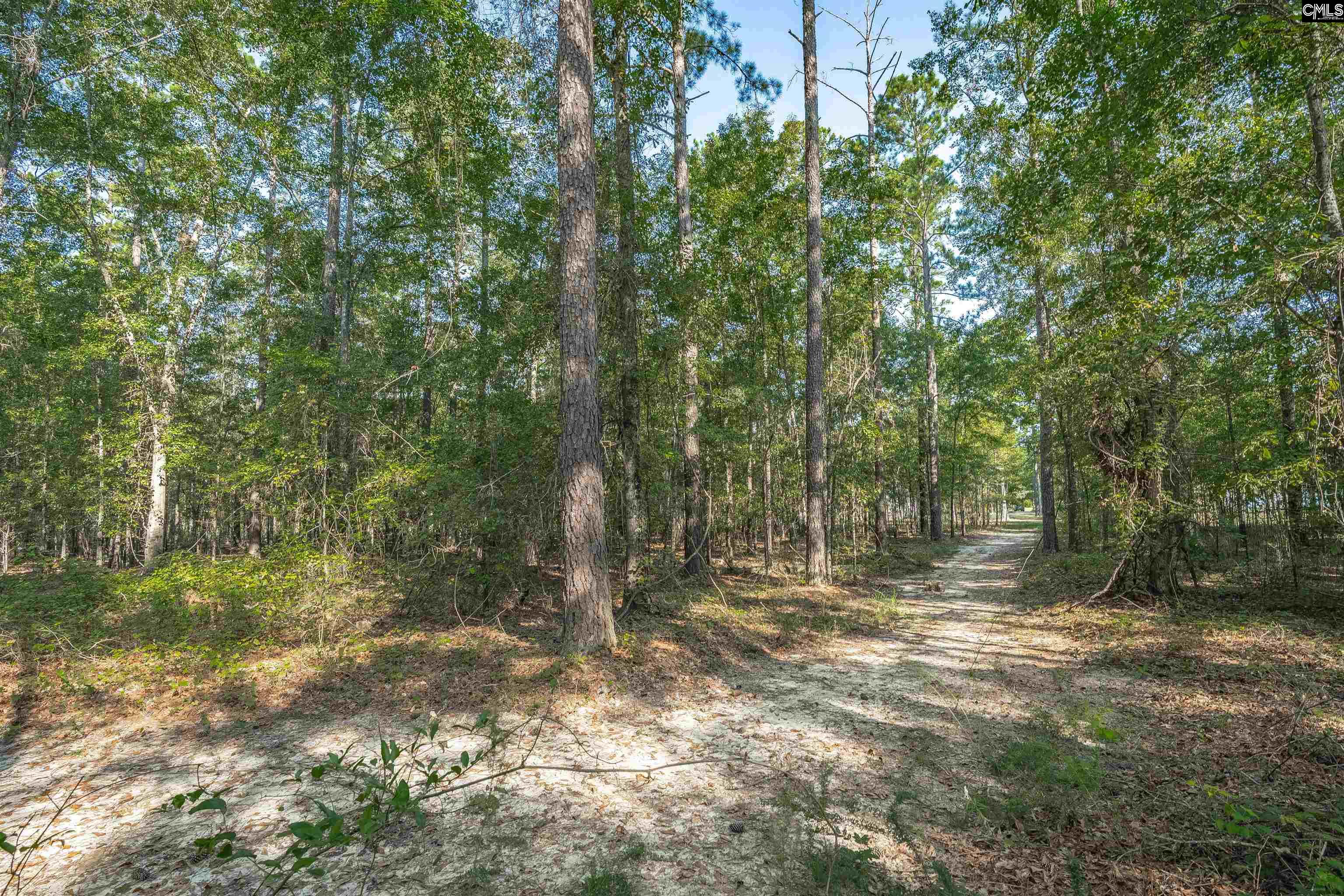 main property photo 55