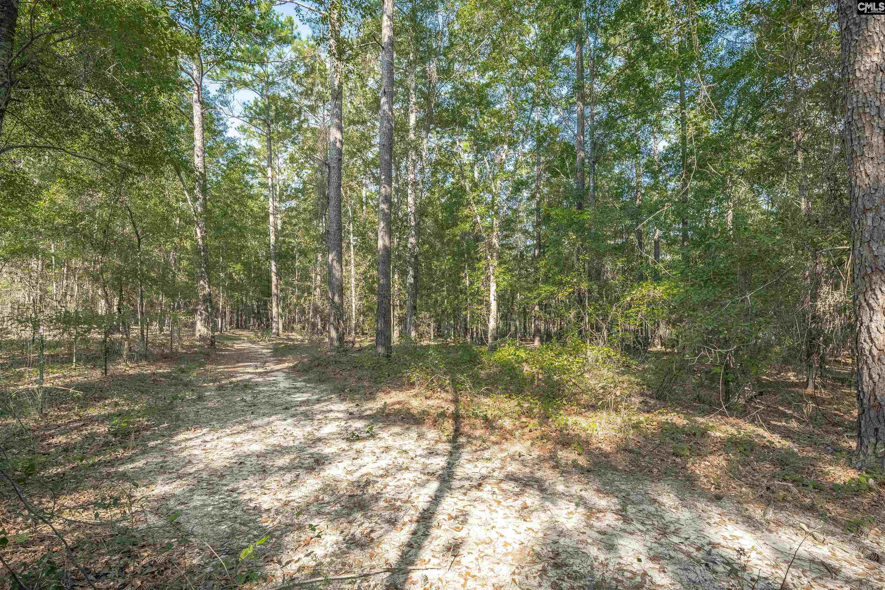 main property photo 56