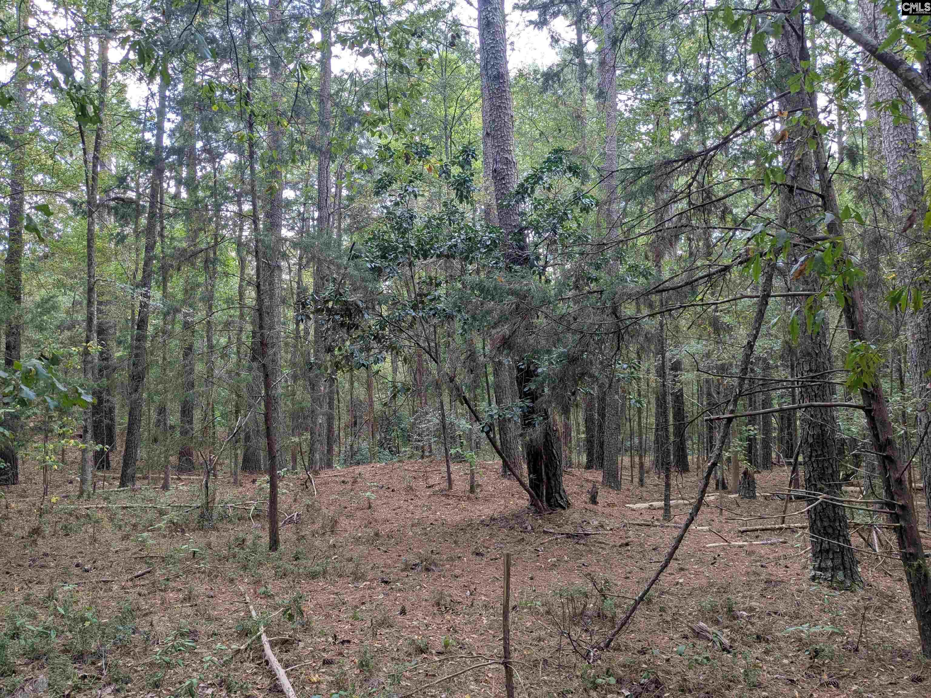 main property photo 18
