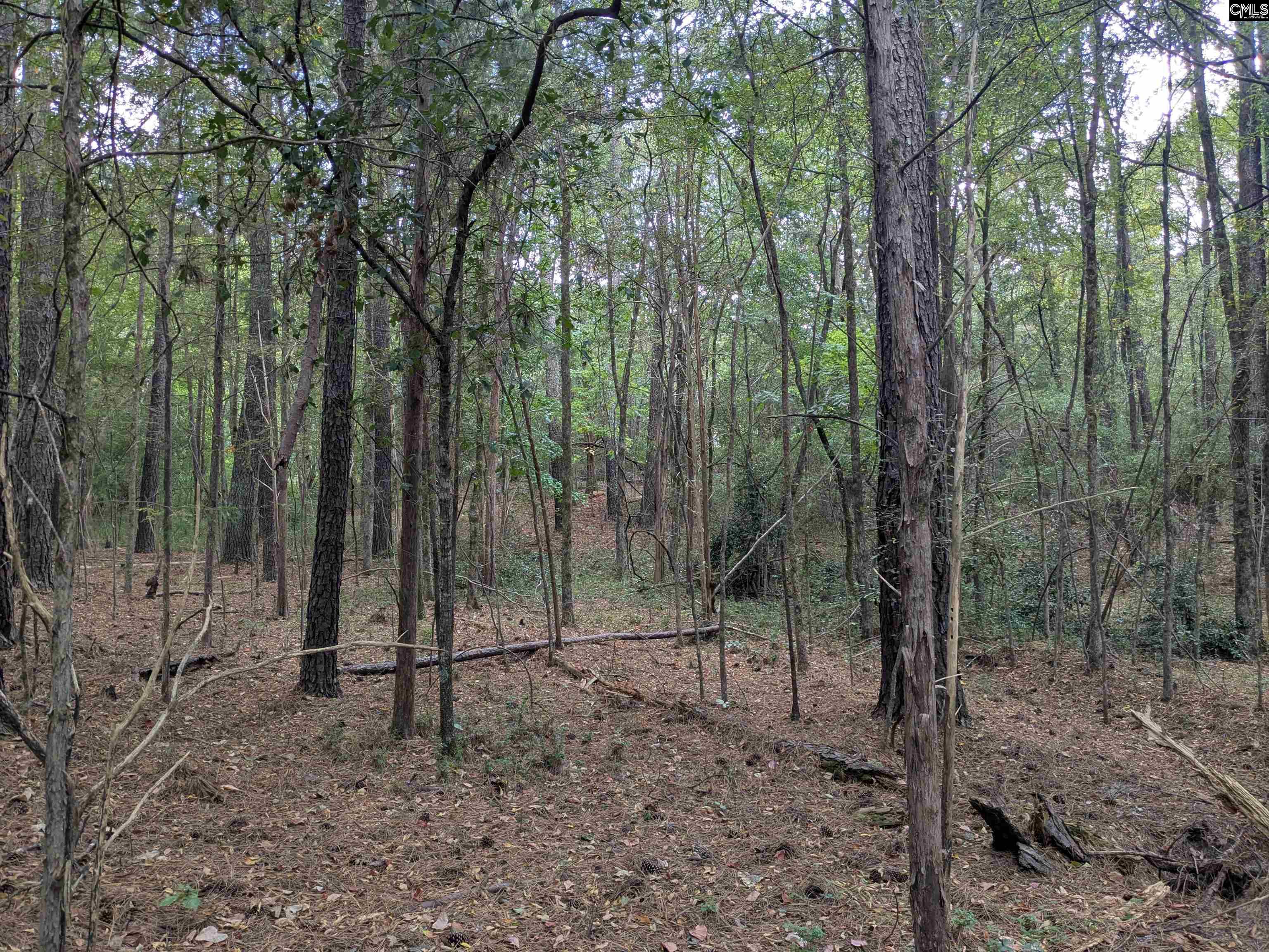 main property photo 20
