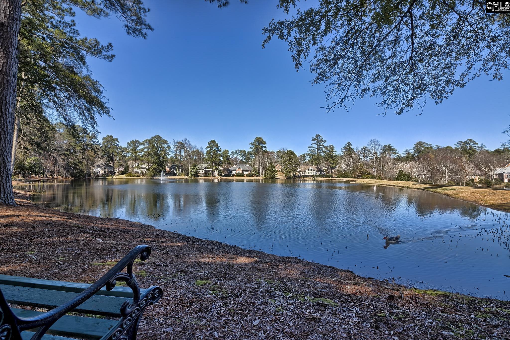 main property photo 85