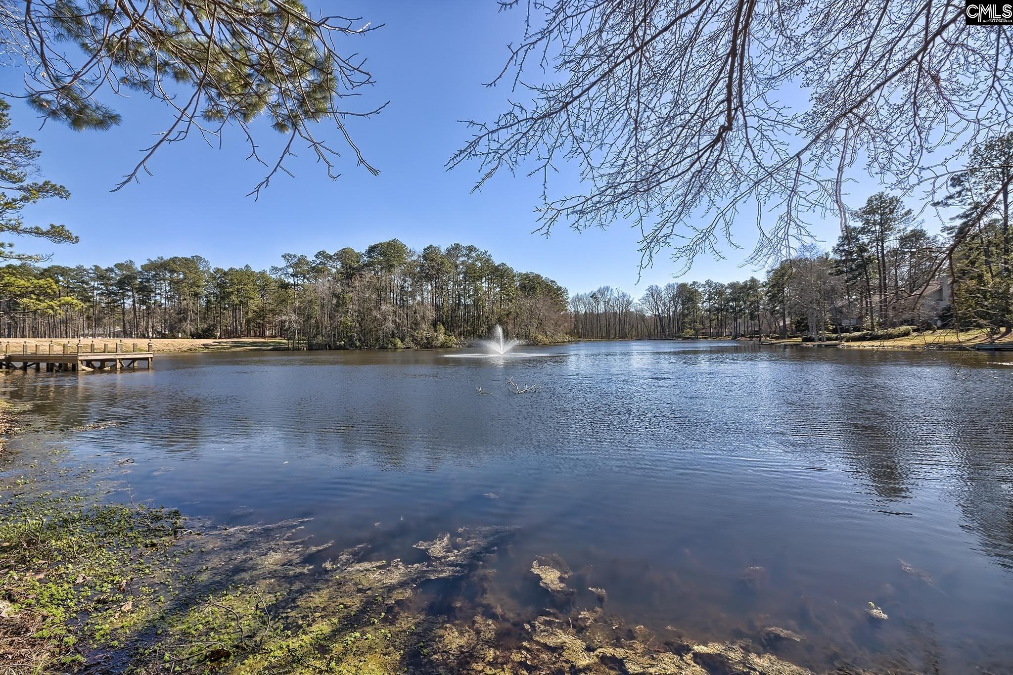 main property photo 87