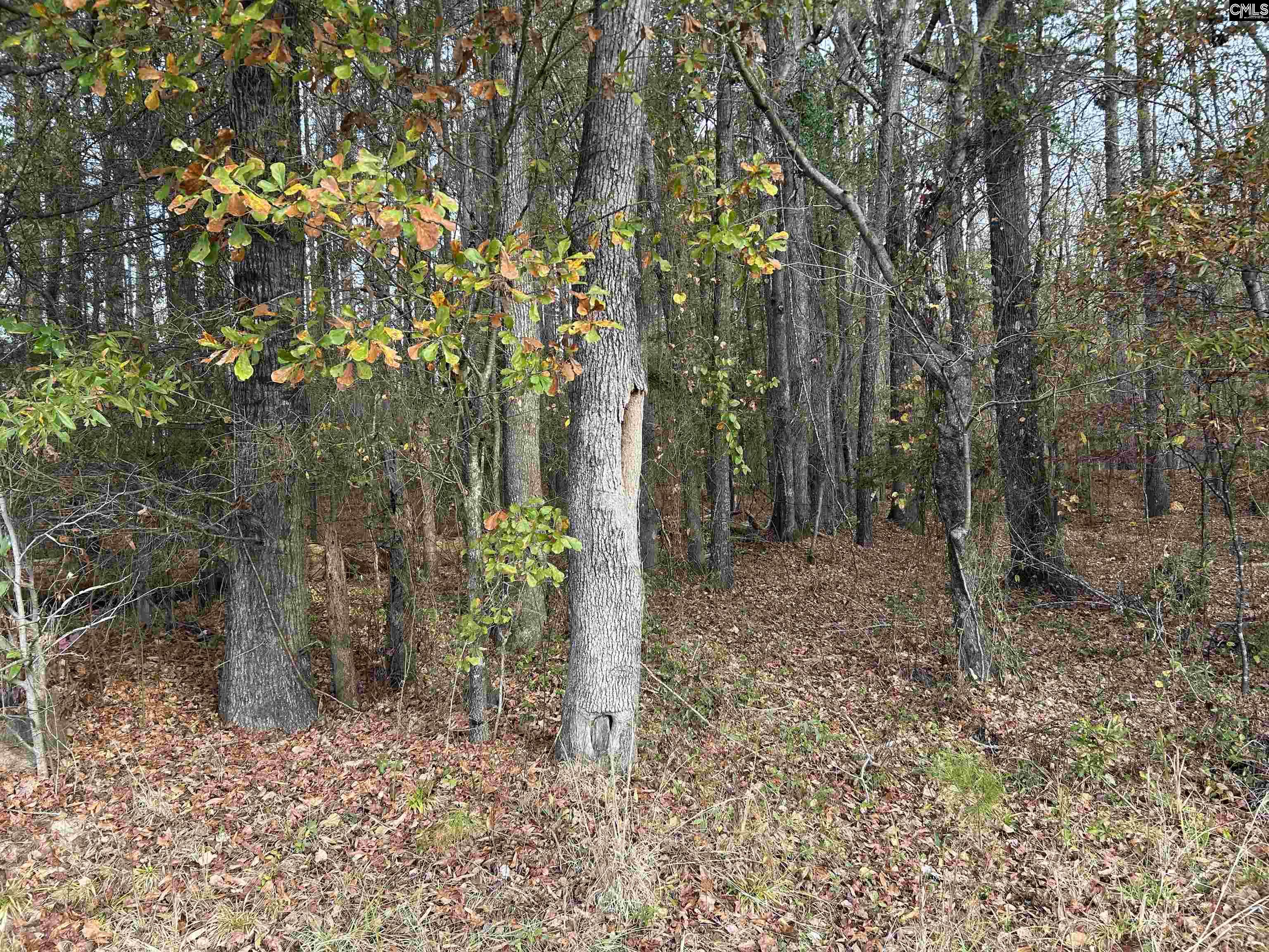 main property photo 11