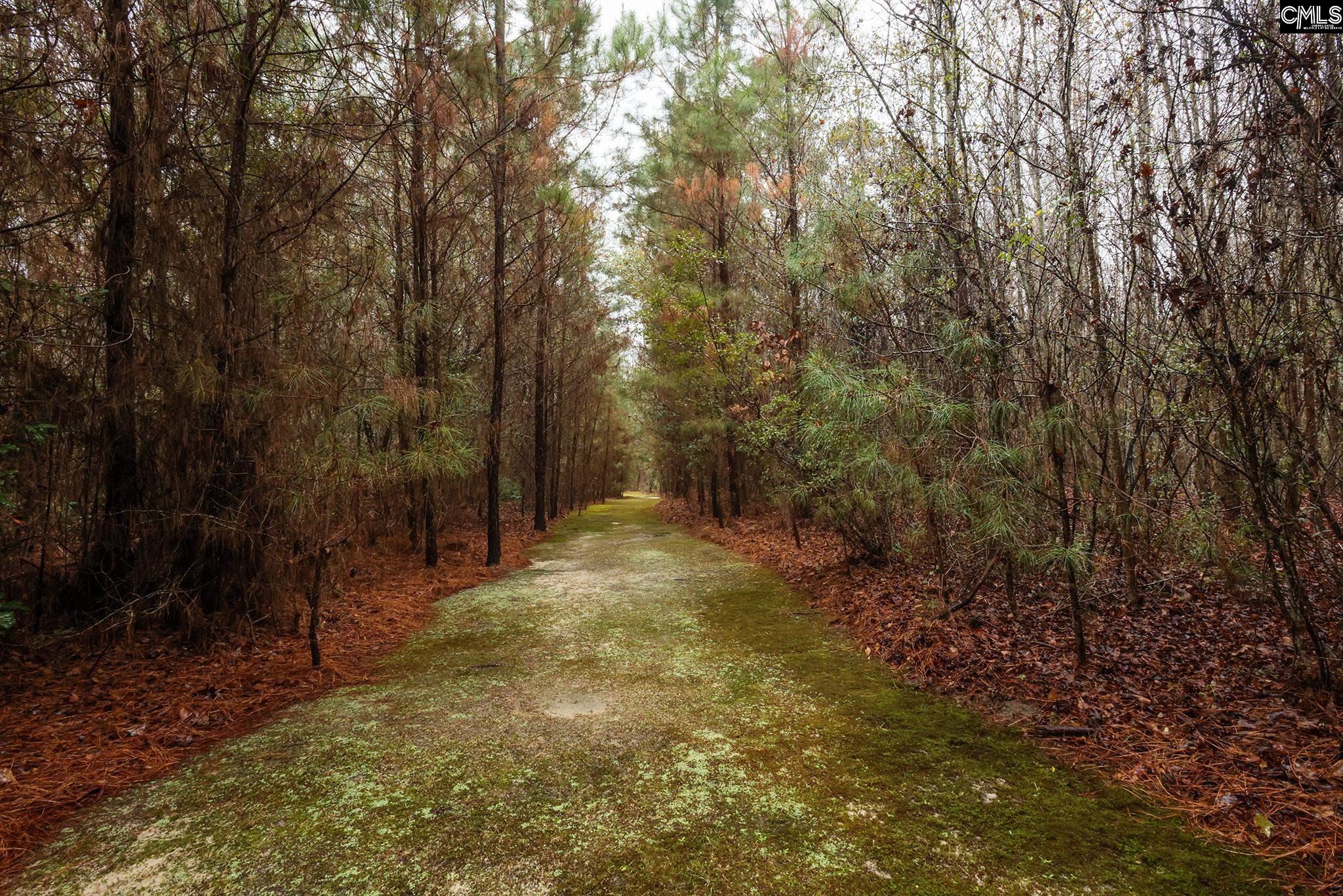main property photo 77