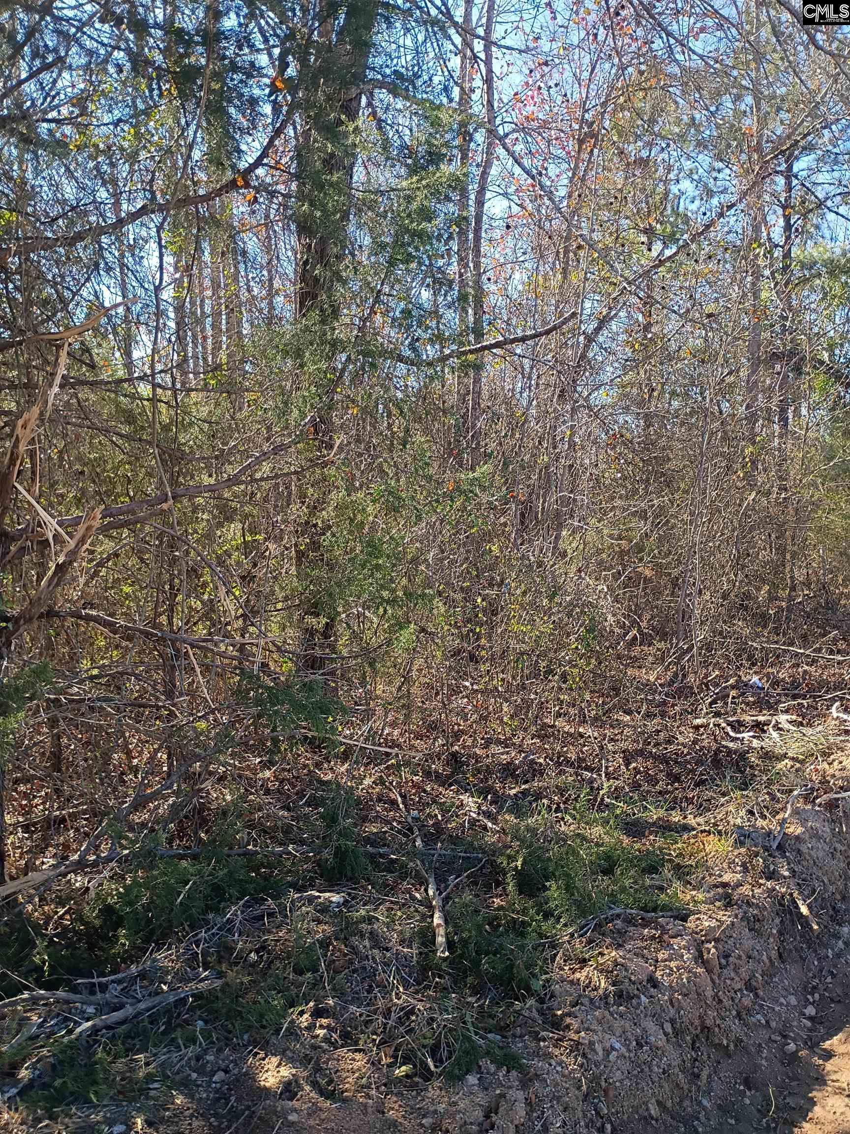 main property photo 11
