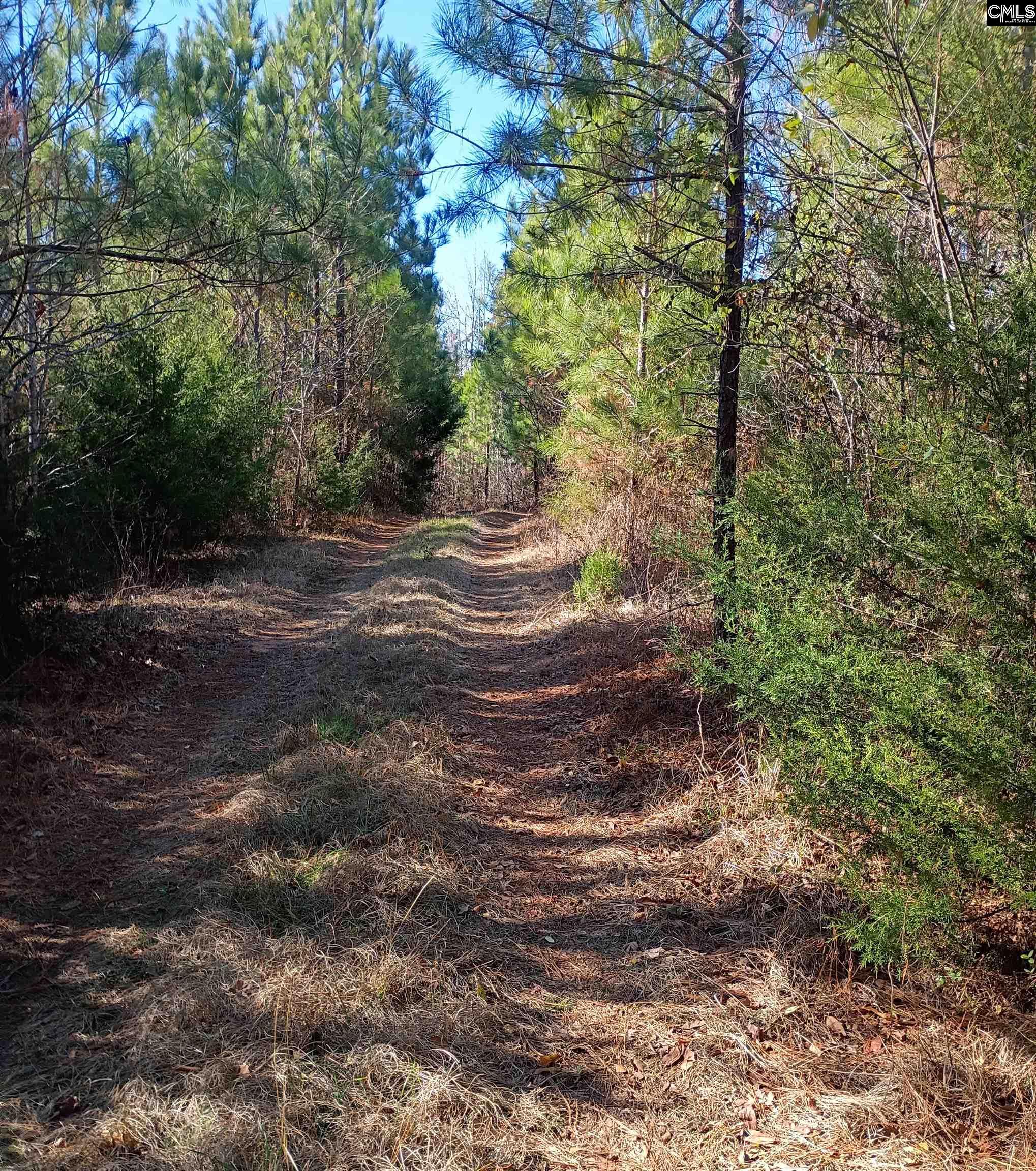 main property photo 13