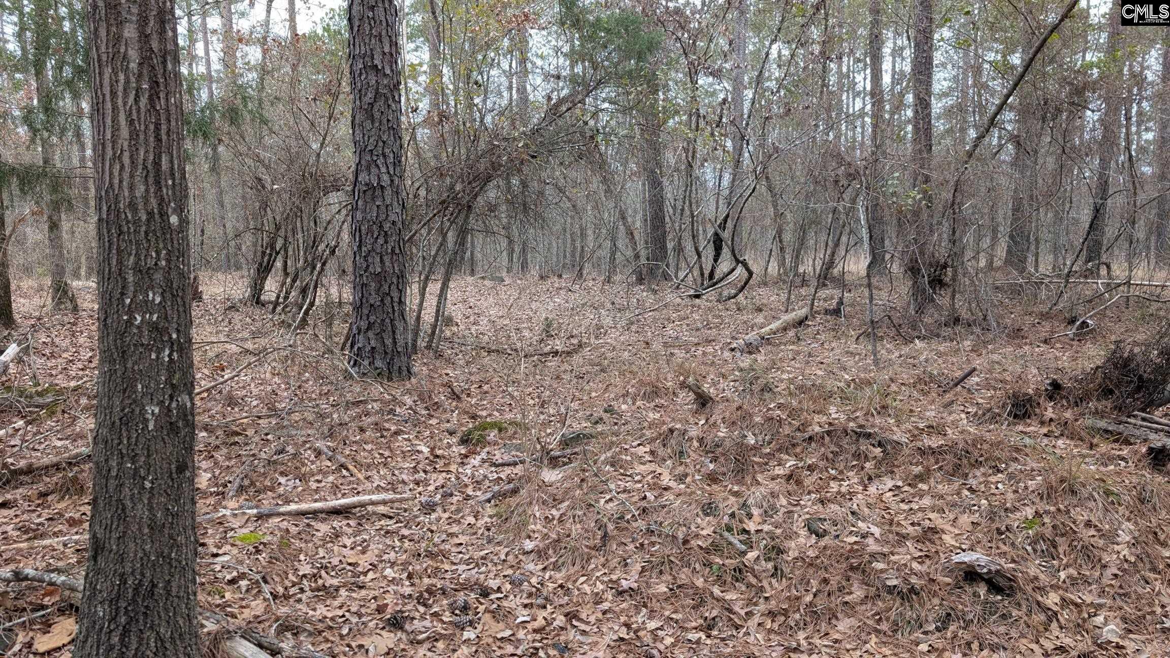 main property photo 11