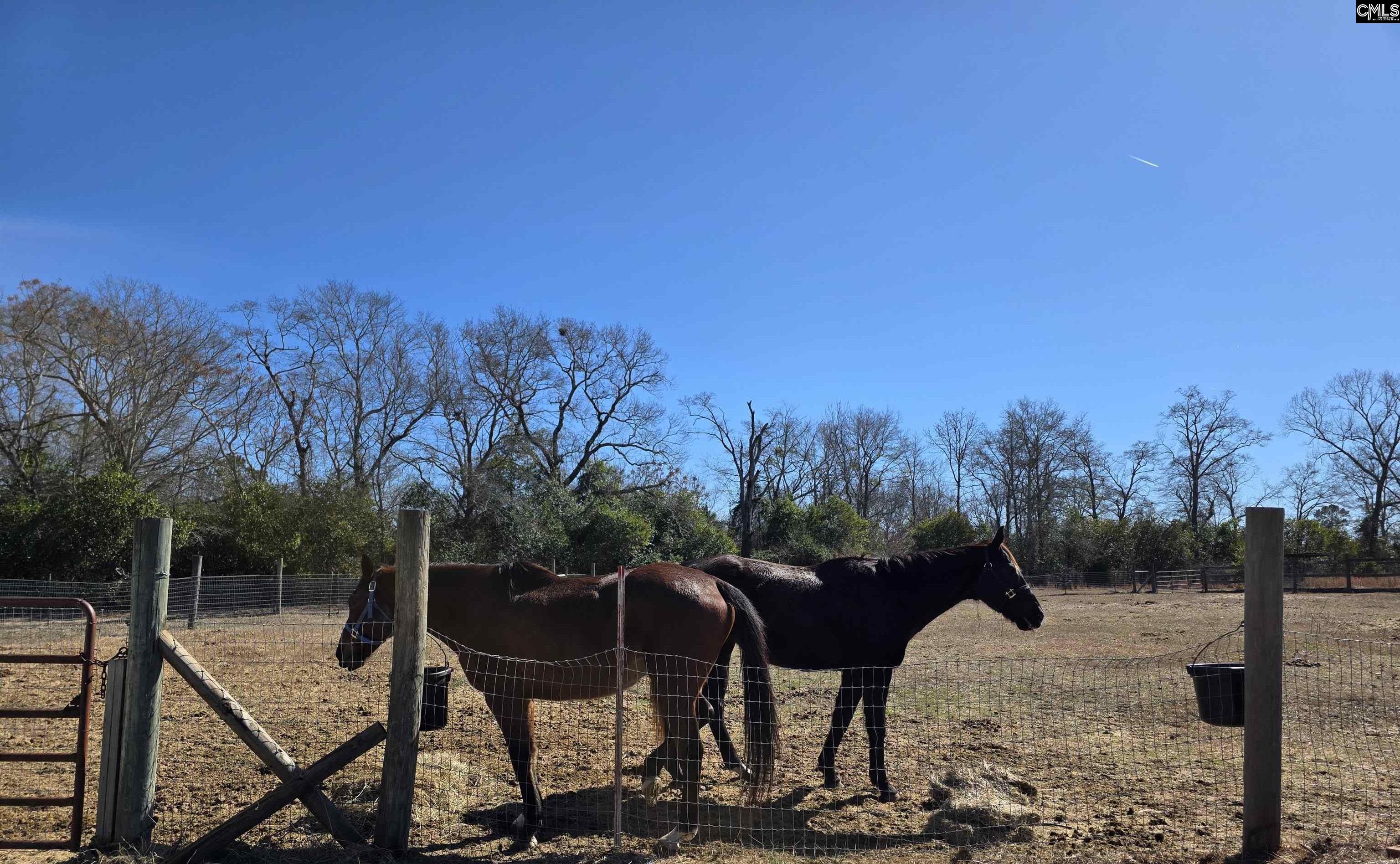main property photo 49