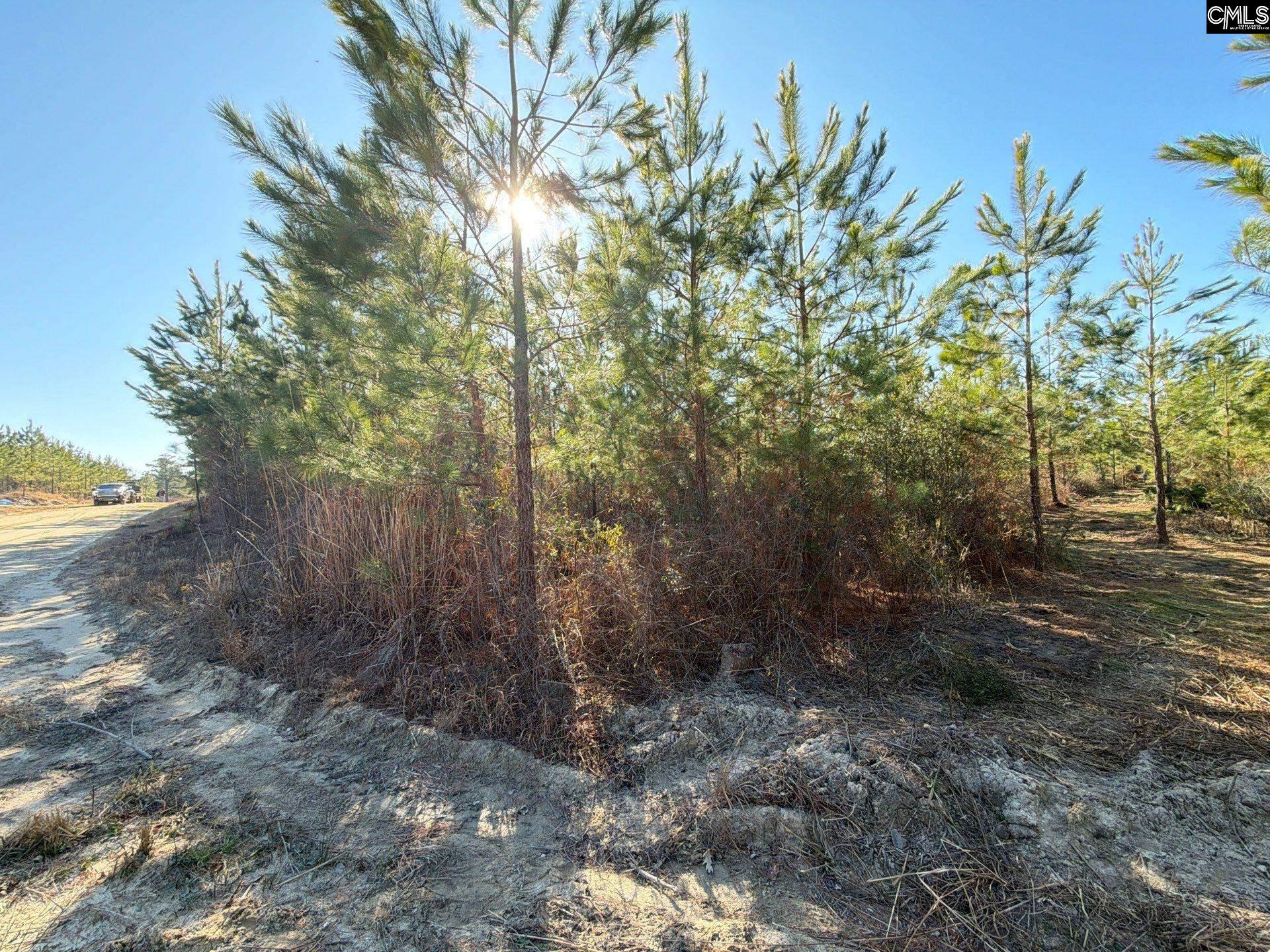 main property photo 20