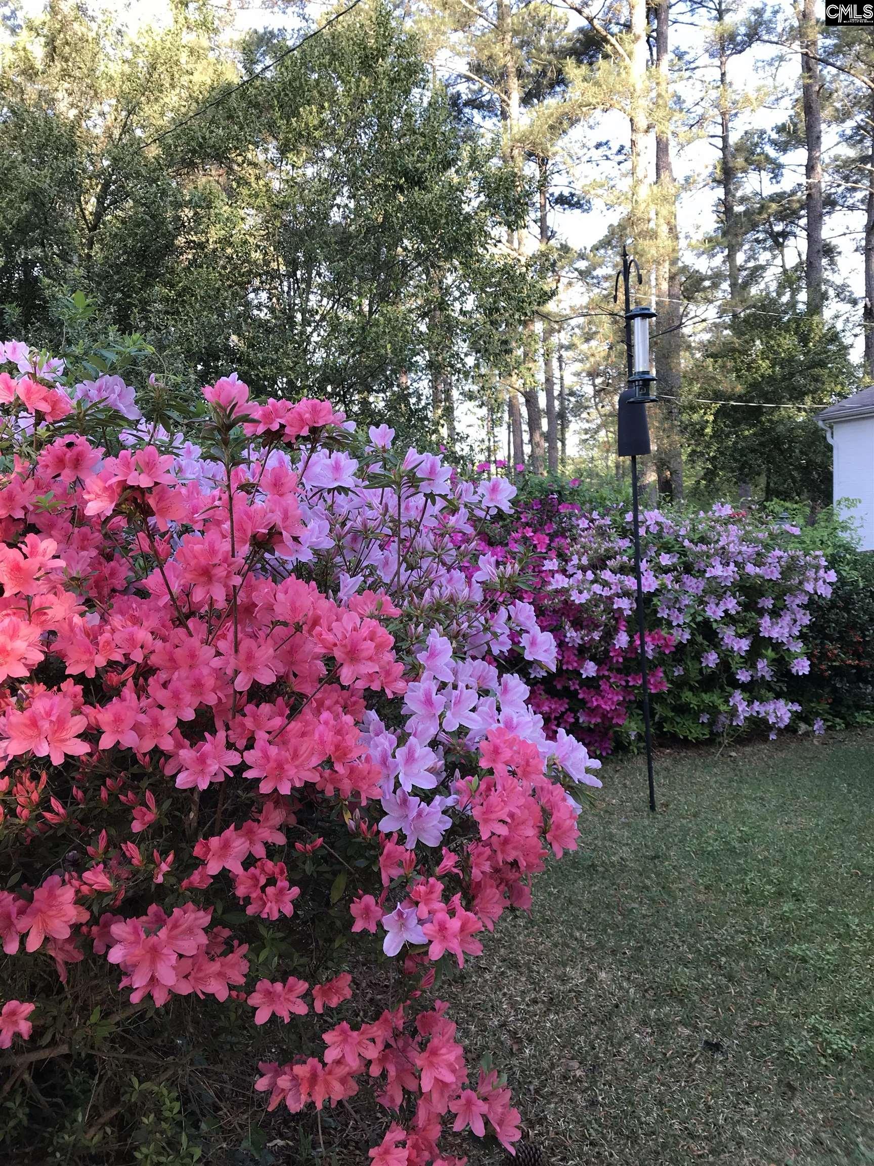 main property photo 96