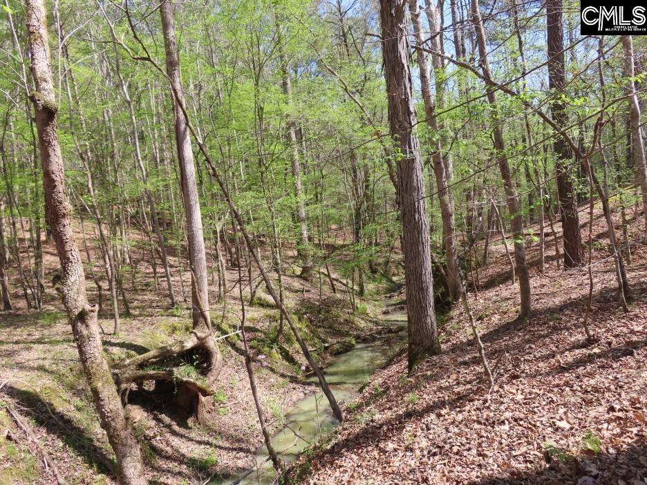main property photo 51