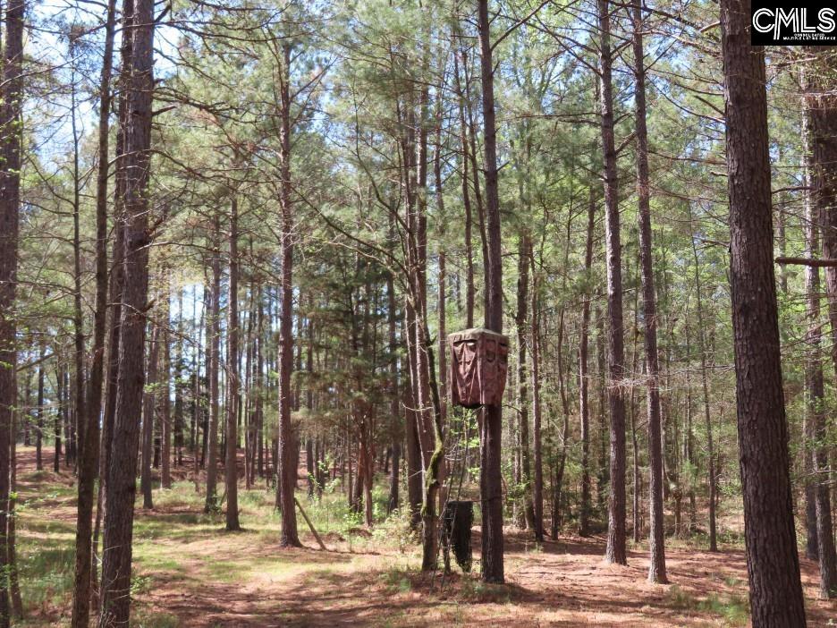 main property photo 53