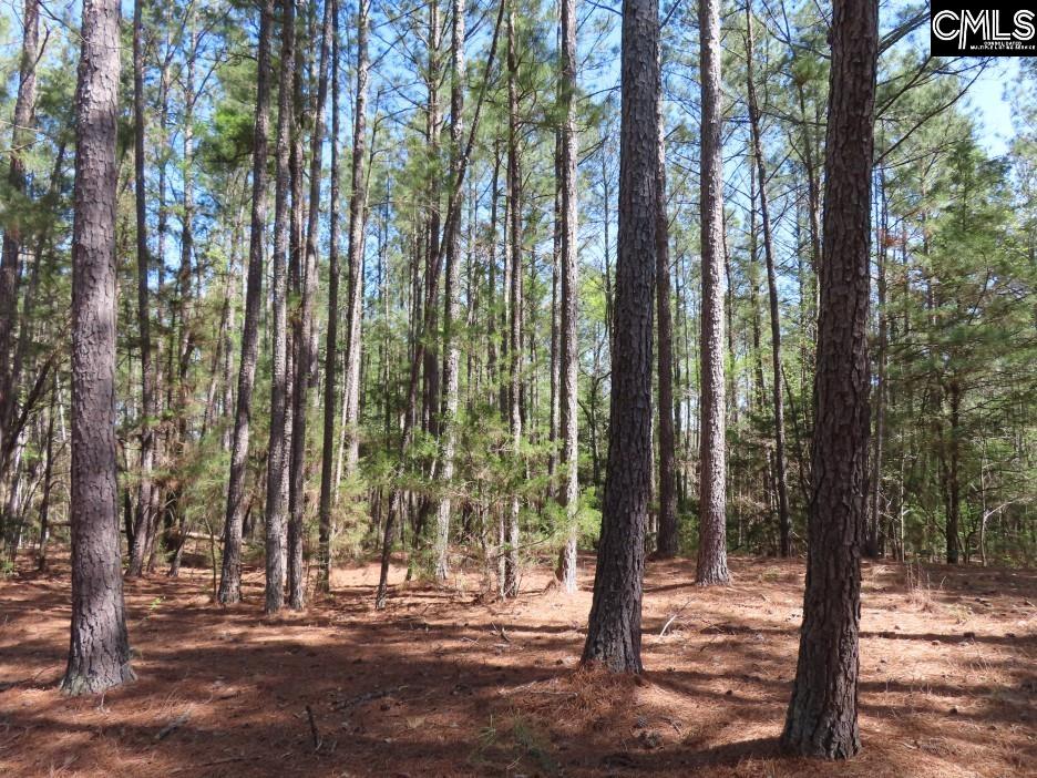 main property photo 66