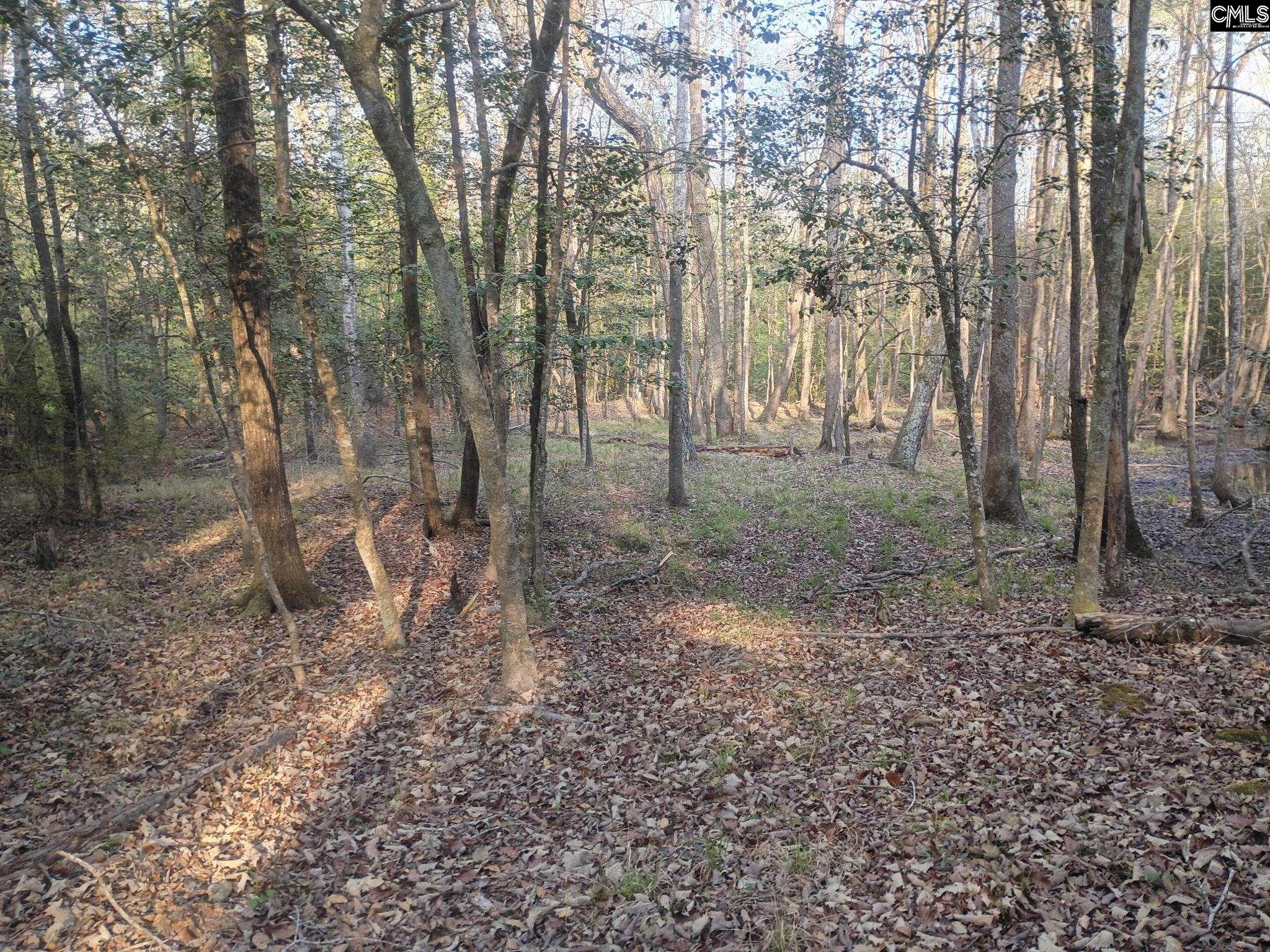 main property photo 11