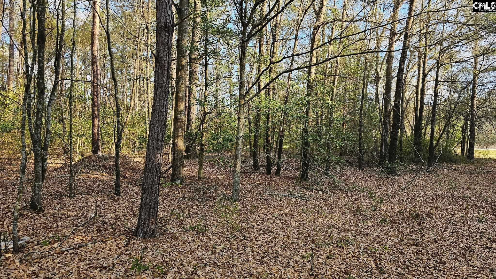 main property photo 25