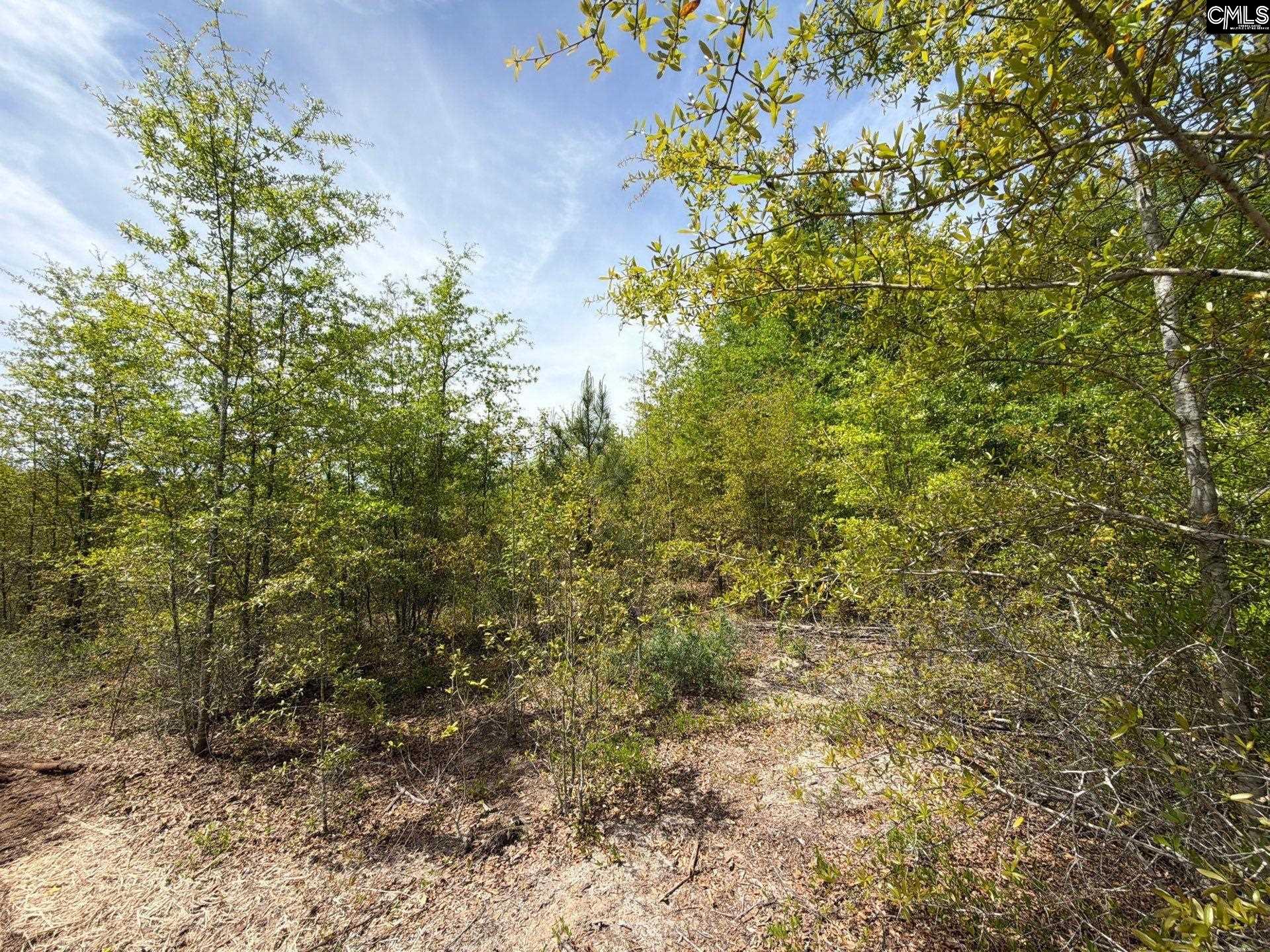 main property photo 11